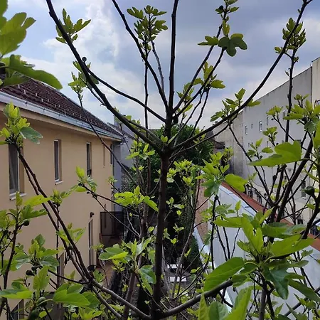 Appartement Centar Novi Sad-apartman No 3 Parking On Request *