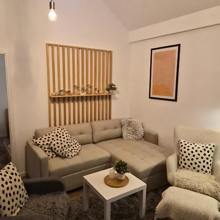 Centar Novi Sad-apartman No 3 Parking On Request Appartement